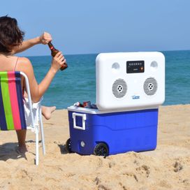 Cooler Da Kokay Com Som Super Potente 120w - Bluetooth