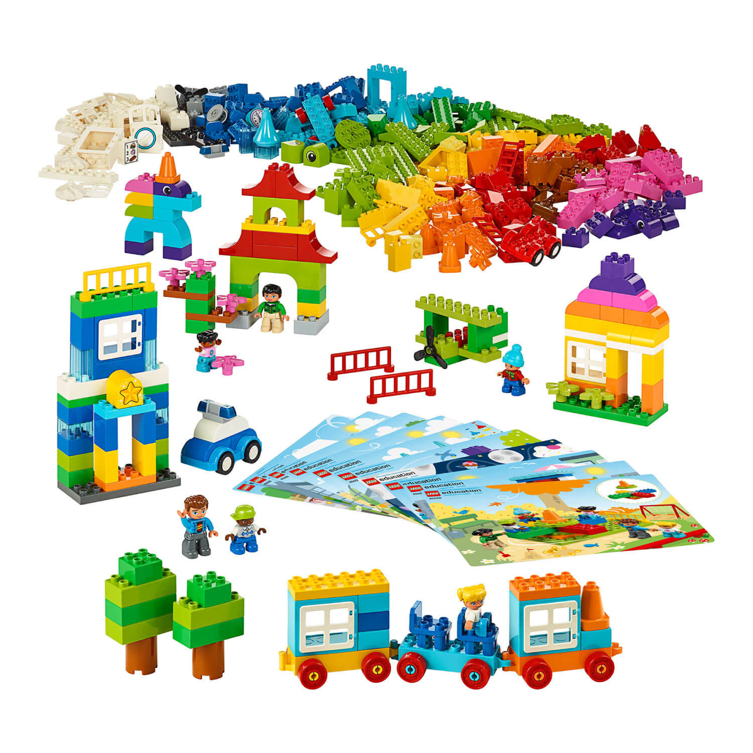 Education duplo shop