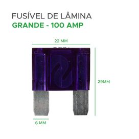 10x Fusível Automotivo Lâmina Grande 100 Amp Roxo - Green